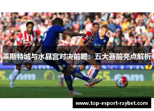 莱斯特城与水晶宫对决前瞻：五大赛前亮点解析