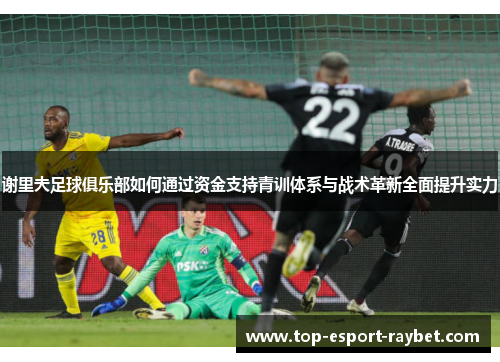 谢里夫足球俱乐部如何通过资金支持青训体系与战术革新全面提升实力