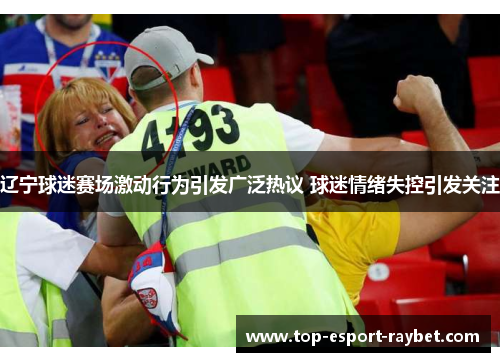辽宁球迷赛场激动行为引发广泛热议 球迷情绪失控引发关注