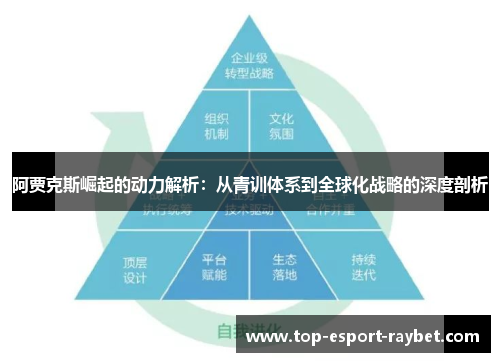 阿贾克斯崛起的动力解析：从青训体系到全球化战略的深度剖析