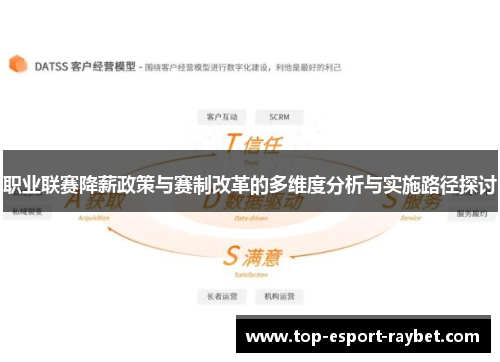 职业联赛降薪政策与赛制改革的多维度分析与实施路径探讨