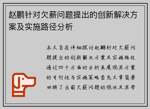 赵鹏针对欠薪问题提出的创新解决方案及实施路径分析
