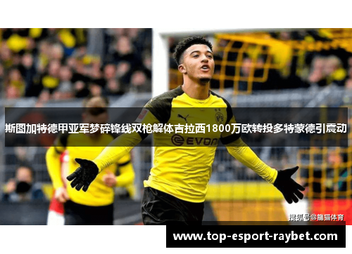 斯图加特德甲亚军梦碎锋线双枪解体吉拉西1800万欧转投多特蒙德引震动 斯图加特德甲亚军梦碎锋线双枪解体吉拉西1800万欧转投多特蒙德引震动