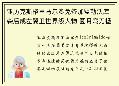 亚历克斯格里马尔多免签加盟勒沃库森后成左翼卫世界级人物 圆月弯刀拯救球队