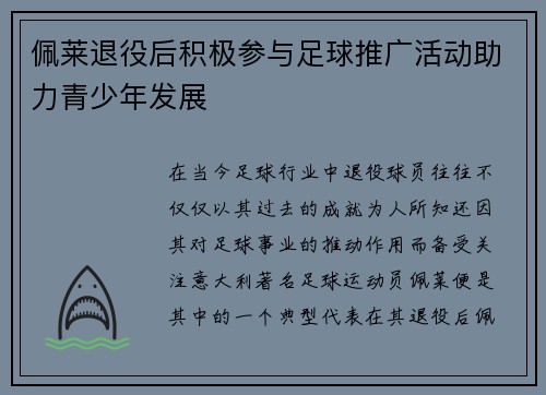 佩莱退役后积极参与足球推广活动助力青少年发展